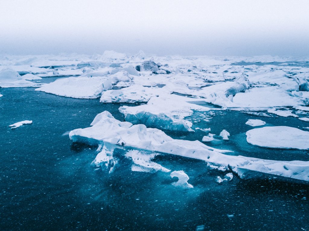 Un nuevo reporte muestra que el Ártico está cada vez más verde, más cálido y con menos hielo