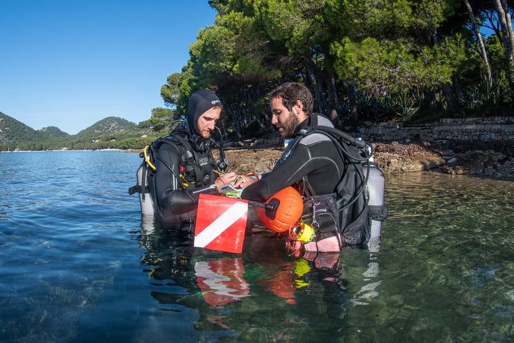 Conoce Arrels Marines, el proyecto que nació en pleno confinamiento y busca proteger el ecosistema de las Islas Baleares