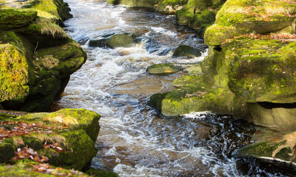 image Bolton Strid 341EDF7D00000578 0 image a 7 1463136907688