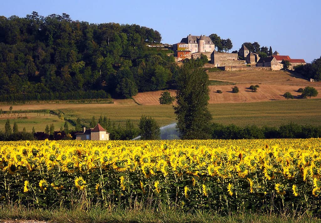 image Sarlat 5976839724 c3cbb4c0b5 b 1