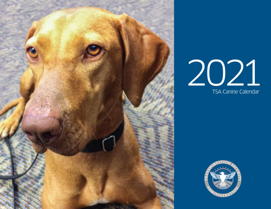 La Administración de Seguridad en el Transporte presenta su nuevo calendario canino 2021 con algunos de los perros de trabajo más lindos del aeropuerto