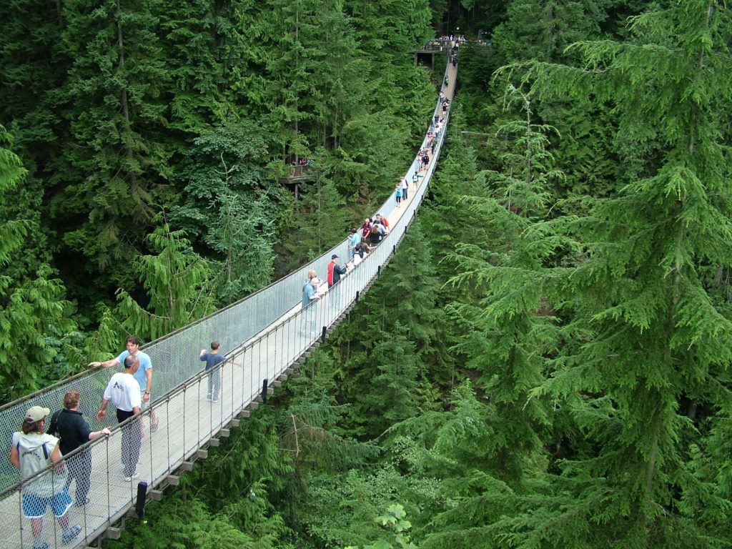 image puentes más peligrosos del mundo 935410622 bfee85d2ce k 1