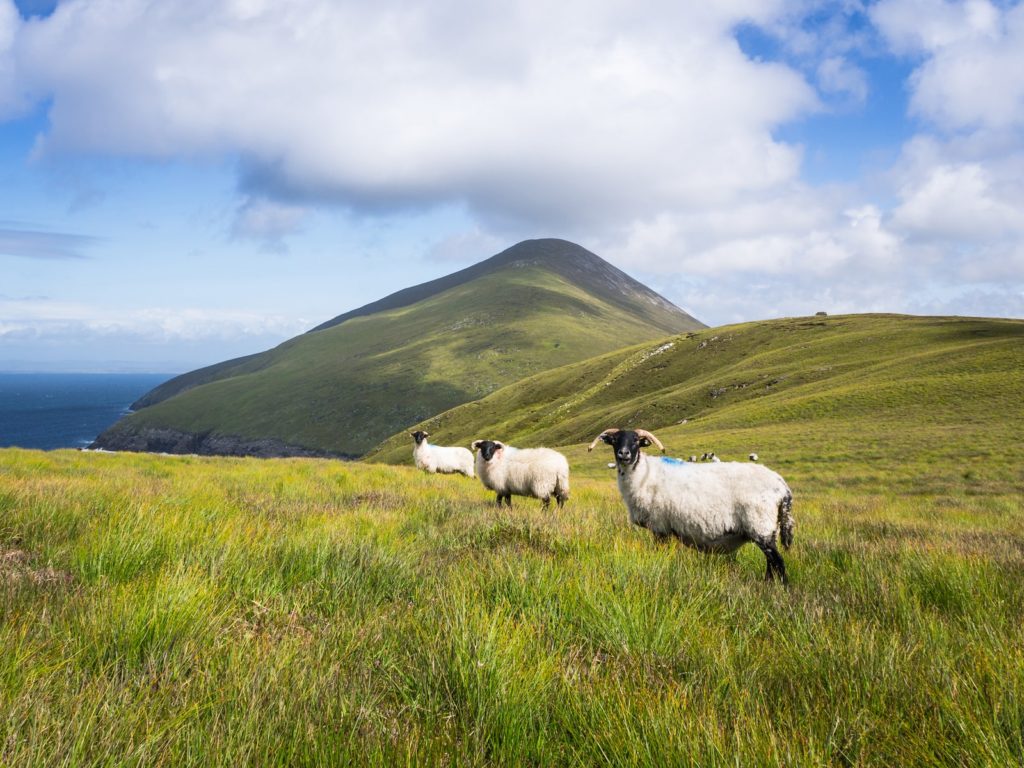 image irlanda Achill Island GettyImages 158317602