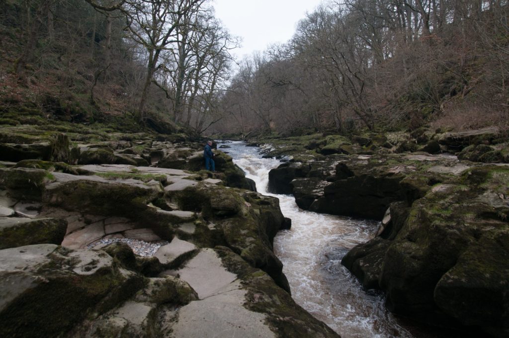 image Bolton Strid Bolton strid replacement 3