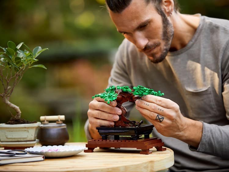 image colección botánica LEGO lanza diferentes sets inspirados en una coleccion botanica y son ideales para quienes les cuesta conservar las plantas 2