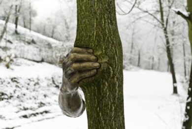 Giuseppe Penone