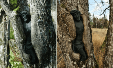 Polonia Descubren una escultura de Jesús que está siendo absorbida por un árbol en un cementerio abandonado 1