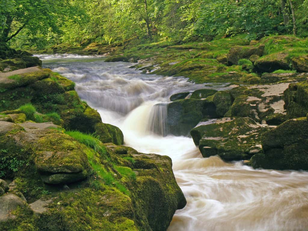 image Bolton Strid The Strid