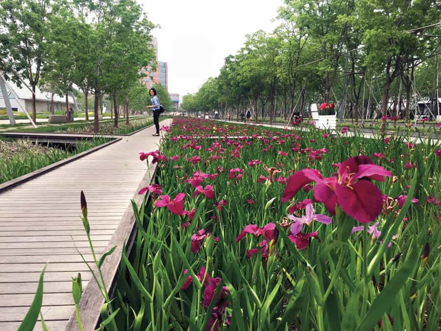 Xuhui Runway Park: un antiguo aeropuerto de Shanghái se convierte en este hermoso parque