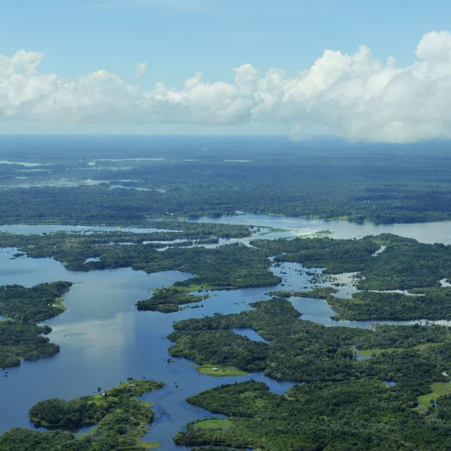 Rio y selva amazónica