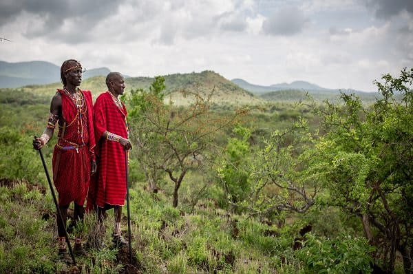 Un safari de Kenia contará con un auto eléctrico para ser más amigable con el ambiente