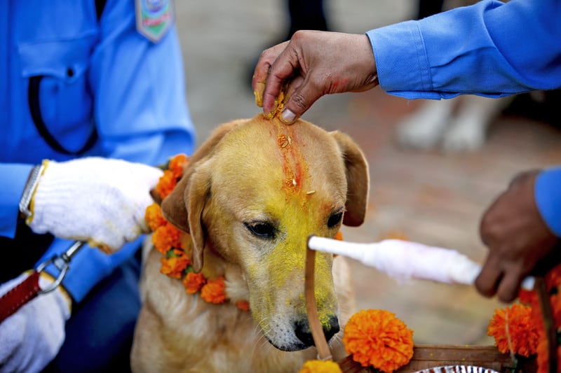 Kukur Tihar