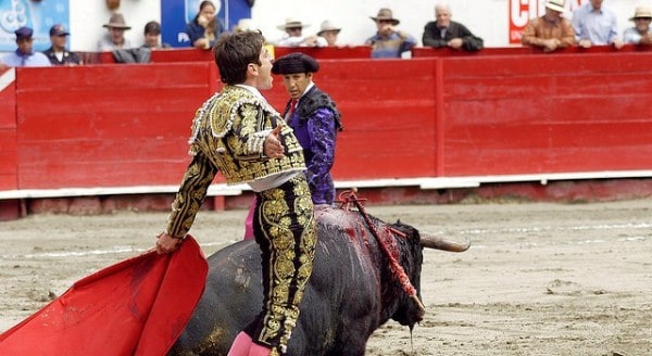 La ciudad de Quito expidió una ordenanza para prohibir los espectáculos con sufrimiento de animales y la corrida "Jesús del Gran Poder" se enfrenta a la agonía