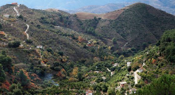Parque Nacional Sierra de las Nieves Andalucía es sede del parque nacional más nuevo de España: Así es el Parque Nacional Sierra de las Nieves Andalucía es sede del parque nacional más nuevo de España: Así es el Parque Nacional Sierra de las Nieves