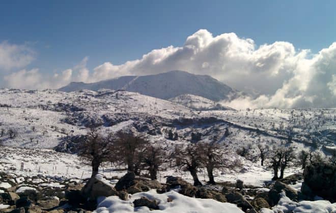 Parque Nacional Sierra de las Nieves Andalucía es sede del parque nacional más nuevo de España: Así es el Parque Nacional Sierra de las Nieves image Parque Nacional Sierra de las Nieves espana nuevo parque nacional 3