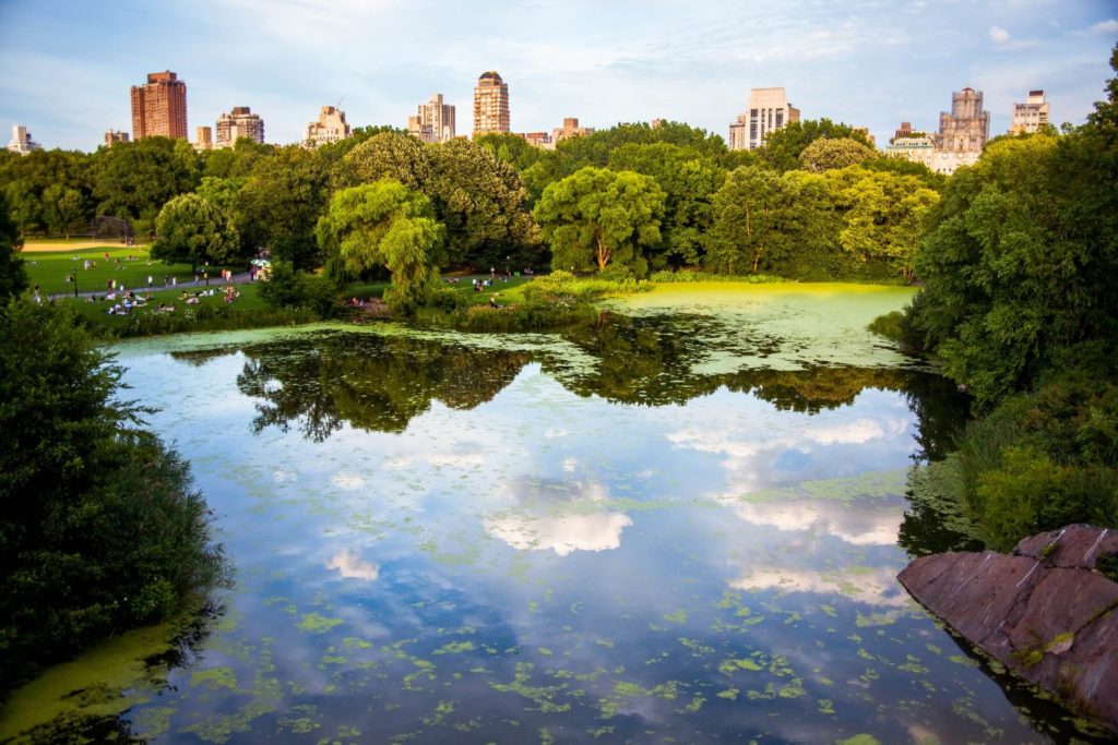 image parques urbanos más grandes del mundo hector arguello canals 2x6vURol6cM unsplash 1