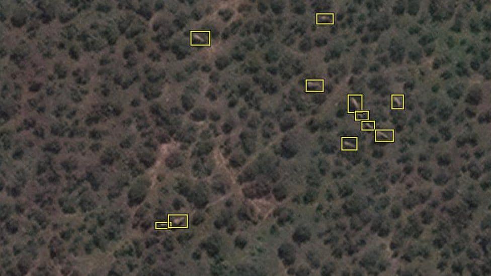 Científicos utilizan imágenes satelitales para contar los elefantes del continente africano