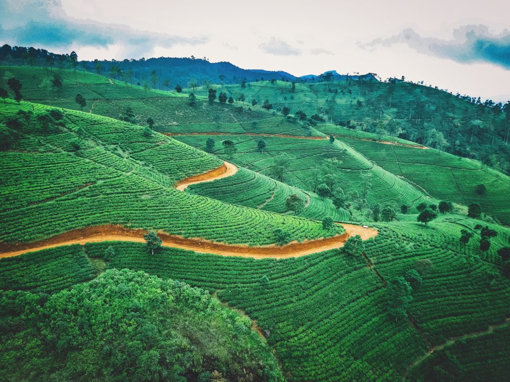 Sri Lanka reabre sus fronteras y vuelve a recibir a turistas de todo el mundo