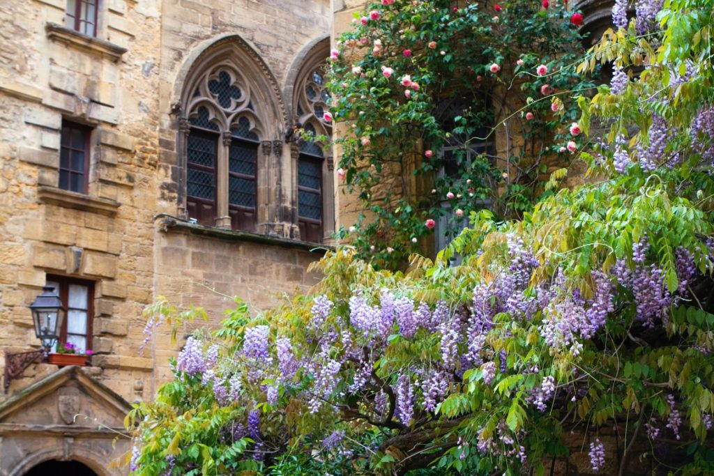 image Sarlat kamala saraswathi xfLj0T9rvD4 unsplash 1