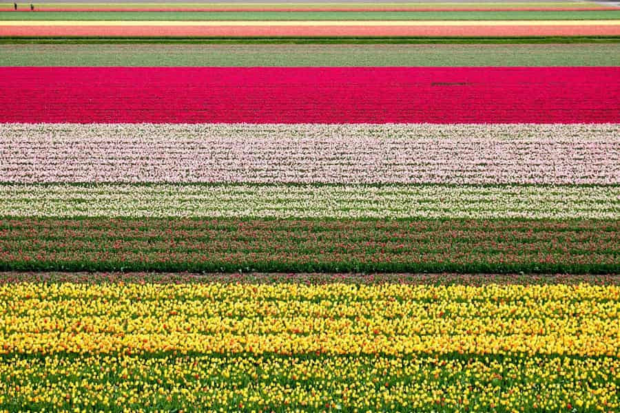 Lugares coloridos del mundo