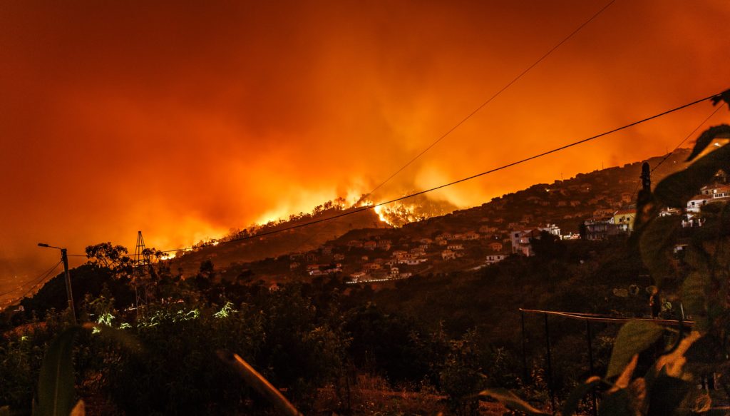 cabio climático