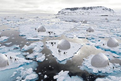 'sistema de protección de pingüinos