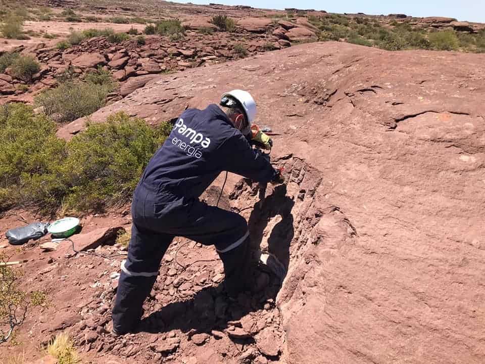 Argentina: encontraron restos fósiles de un dinosaurio herbívoro de hace 100 millones de años