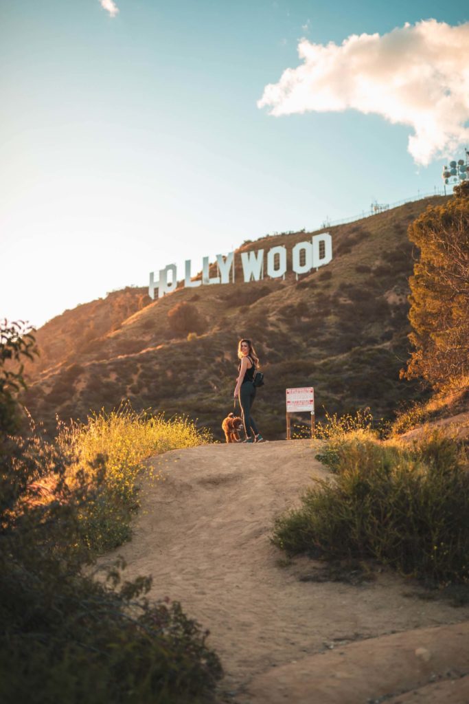 image parques urbanos más grandes del mundo roberto nickson sXsdCThtSJ8 unsplash 1