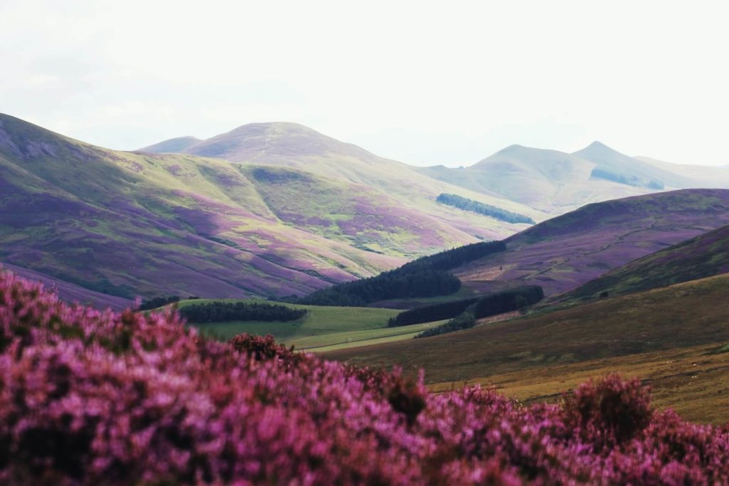 top 5 de las mejores excursiones para hacer en los alrededores de Edimburgo