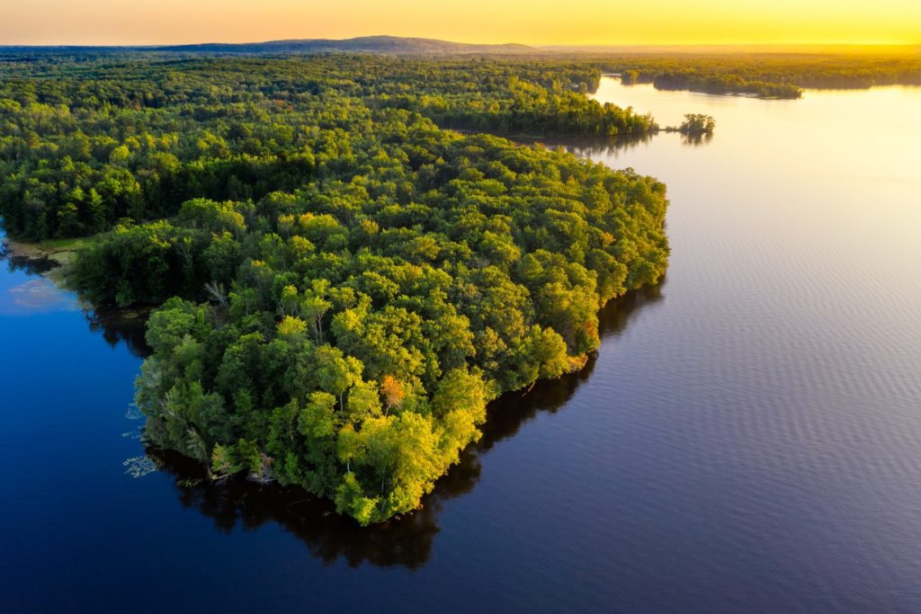 Declaran que la selva amazónica desaparecerá para 2064