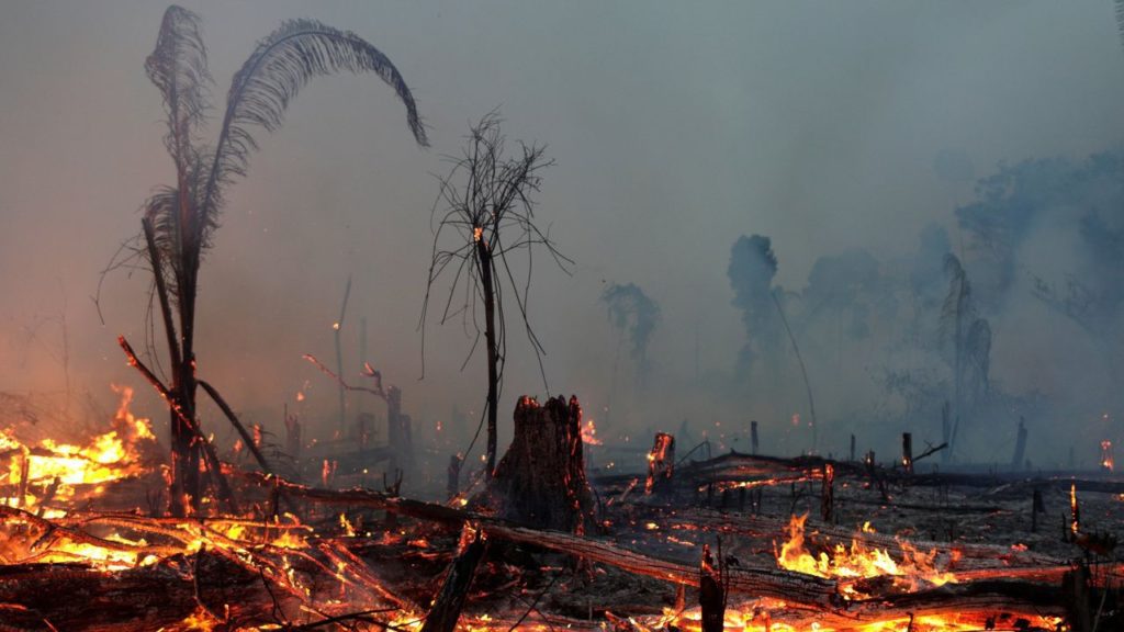 Declaran que la selva amazónica desaparecerá para 2064