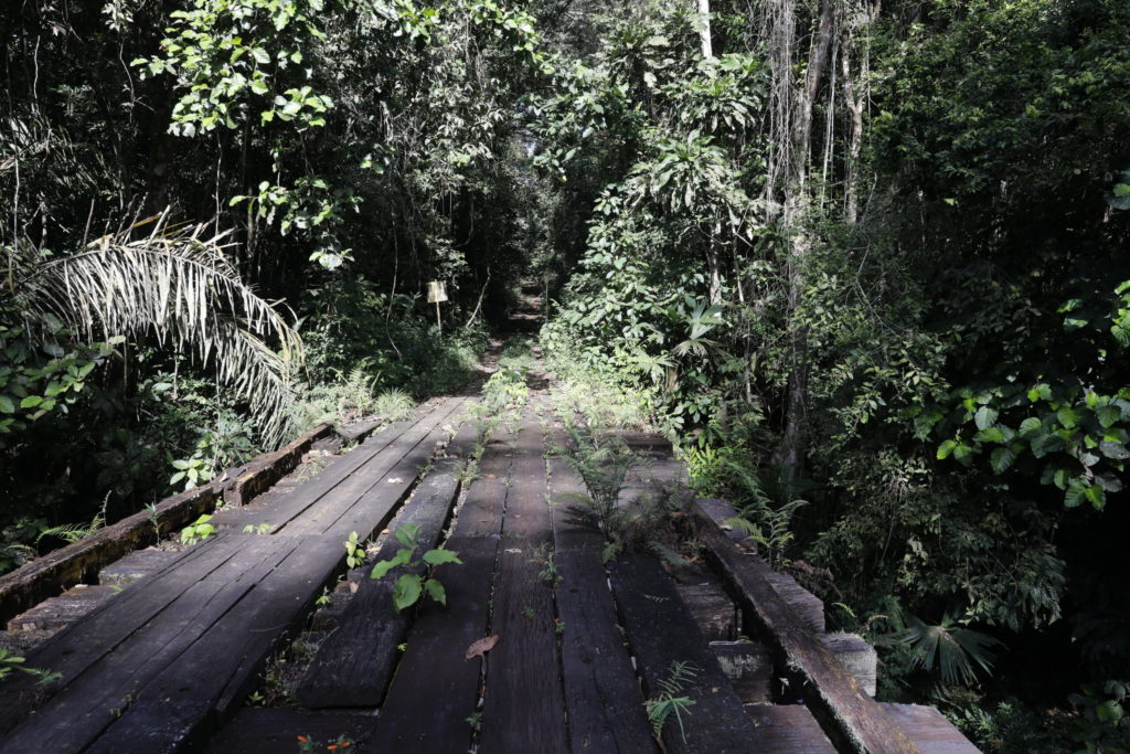 Panamá lanzó "1.000 kilómetros de Senderos", un proyecto de turismo verde para reactivar la economía