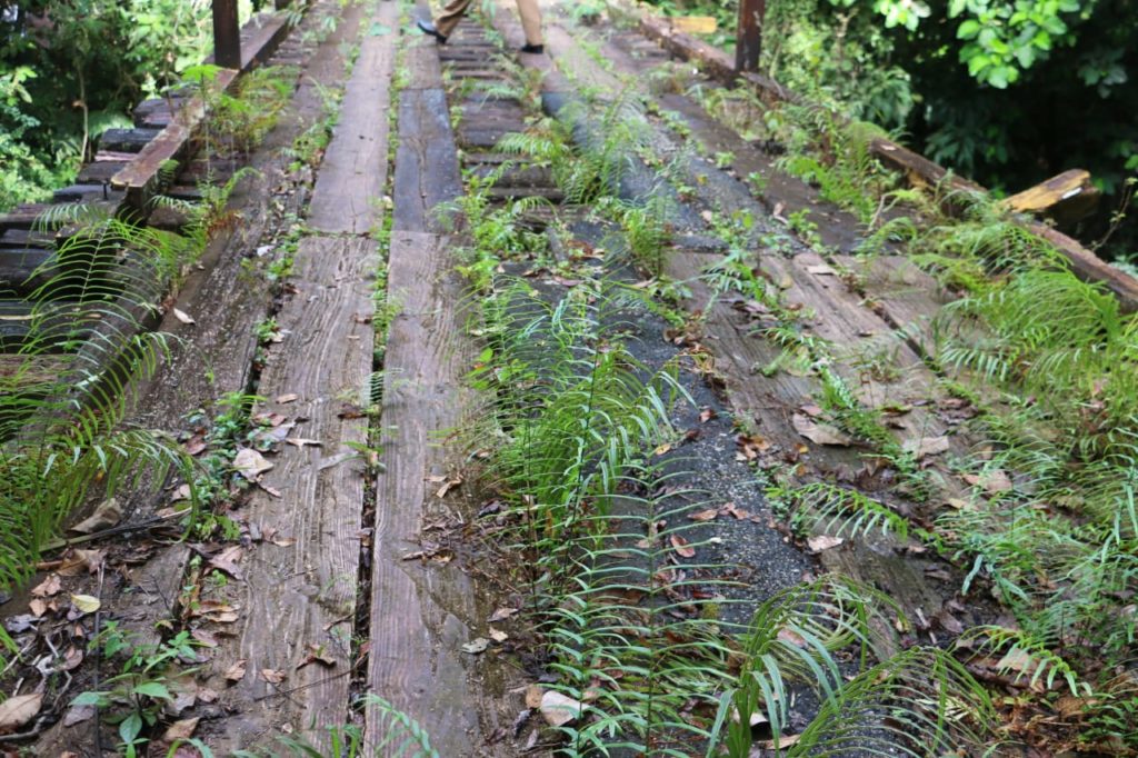 Panamá lanzó "1.000 kilómetros de Senderos", un proyecto de turismo verde para reactivar la economía