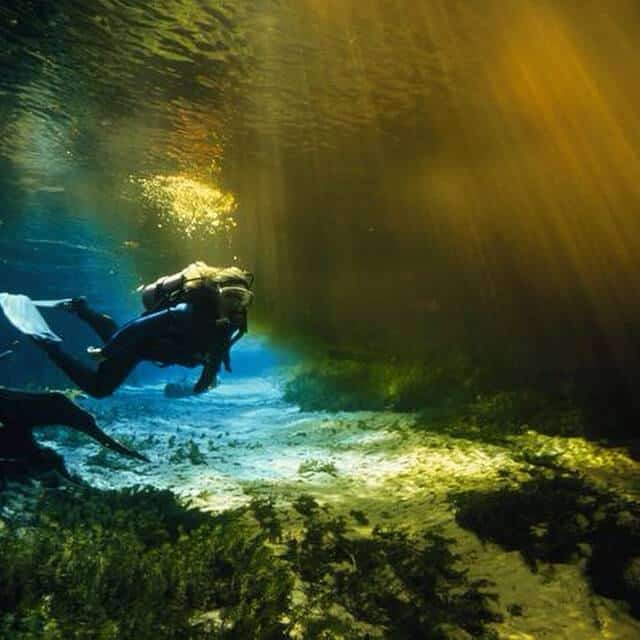 image Ginnie Springs 15129121787 8cbea4c8e2 o 1