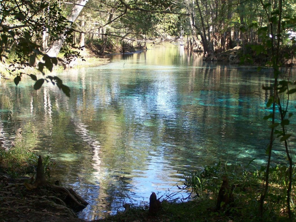 image Ginnie Springs 1925206693 cfa80c0d69 k 1