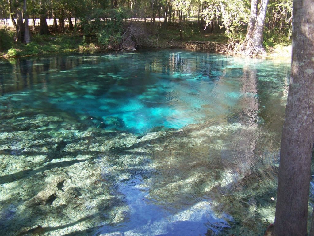 image Ginnie Springs 1926014486 3f28fe019f k 1