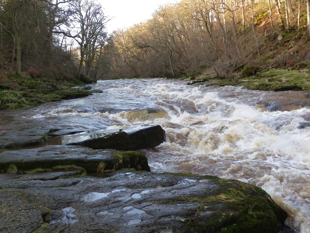 The Strid