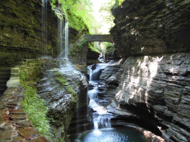 Watkins Glen