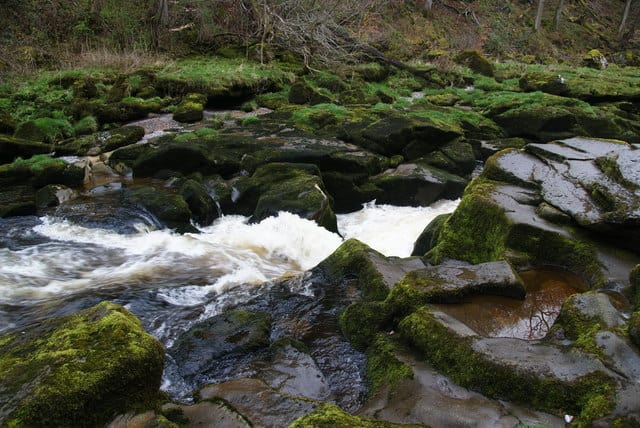 The Strid