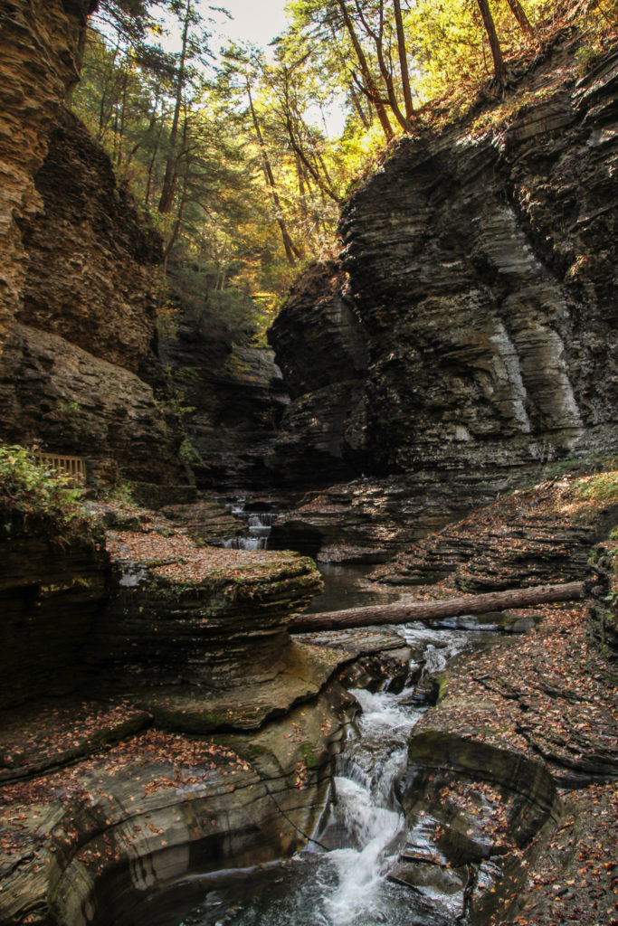 image Watkins Glen 37091545854 df5456fb82 k 1