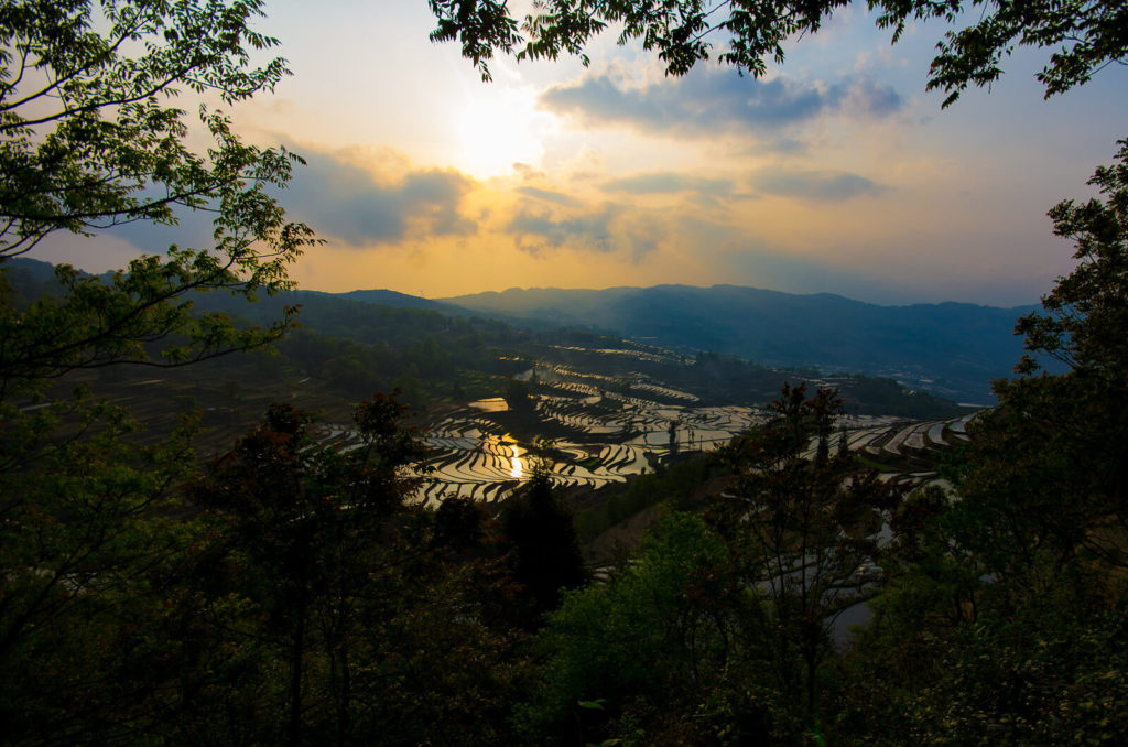 image terrazas de arroz de Yuanyang 42514282011 732f95203a h 1