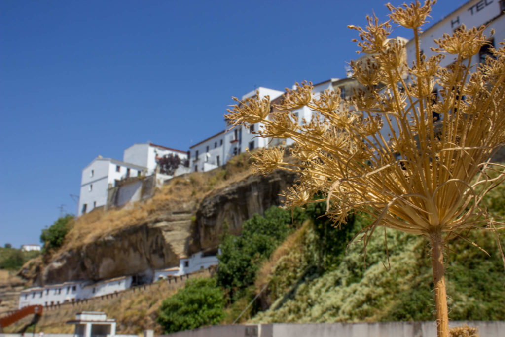 image Setenil de las Bodegas 48574044281 5fbd569952 k 1