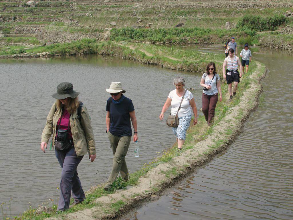 image terrazas de arroz de Yuanyang 48645863972 c9fb70584b b 1