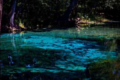 Ginnie Springs