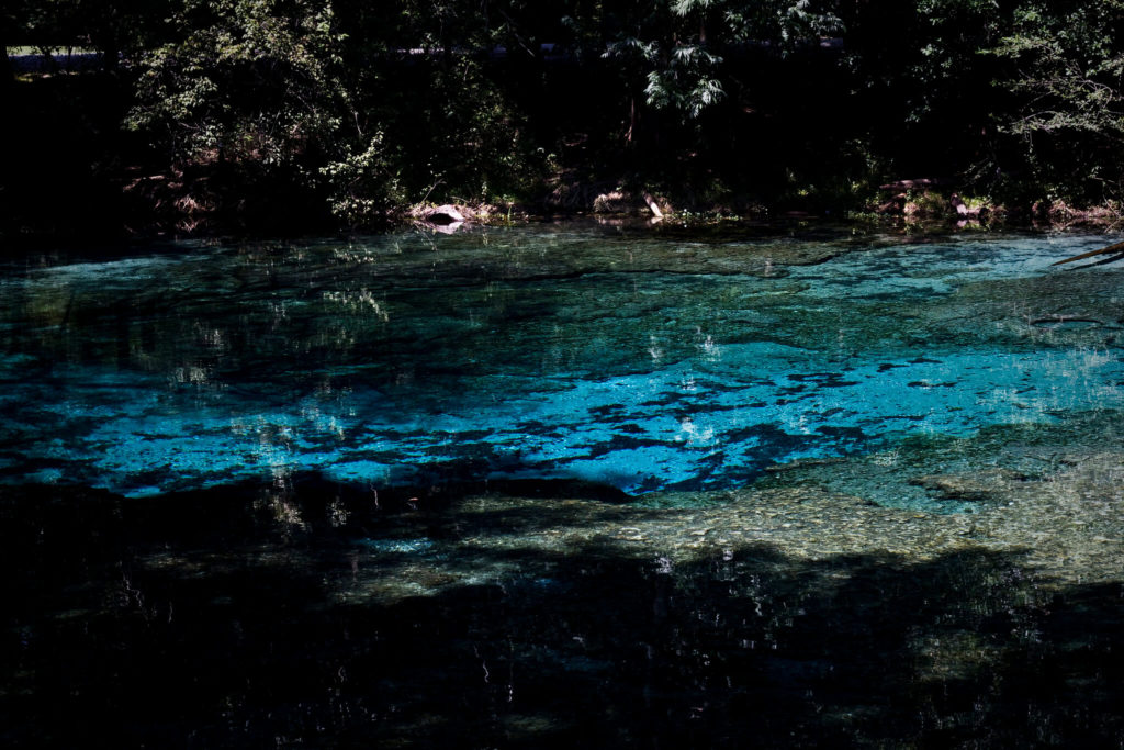 image Ginnie Springs 6156709644 78fe0a0dae k 1