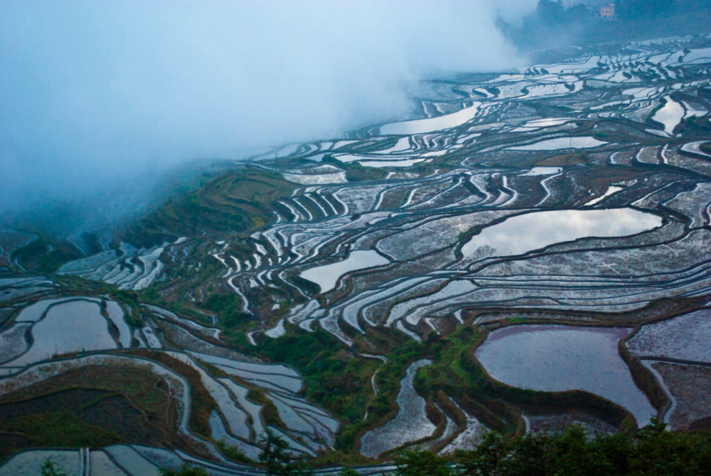 image terrazas de arroz de Yuanyang 7887236406 f3aad6e1a9 k 1