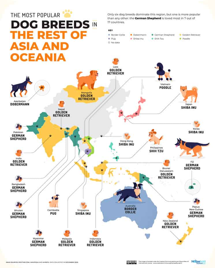 image perros más populares Asia y Oceania 1