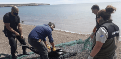 Captura de Pantalla 2021-02-19 a la(s) 08.34.51