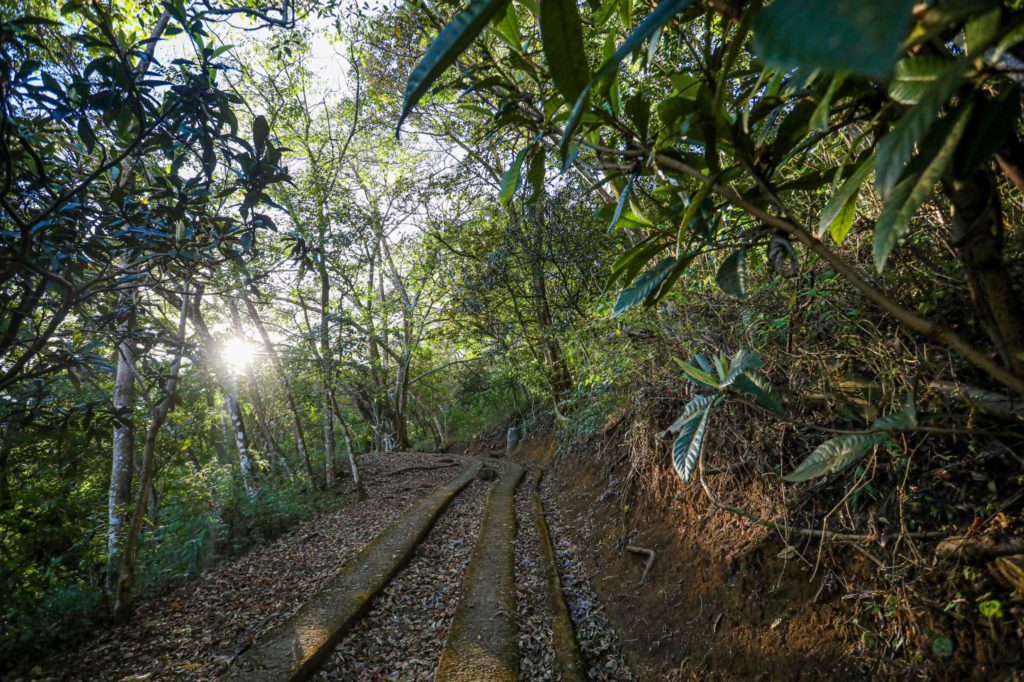 Costa Rica anuncia la creación de Parques Naturales Urbanos en las ciudades para preservar el ecosistema de áreas naturales