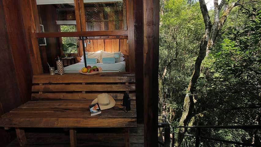 image eco lodge en Misiones Cuna Piru Lodge 2